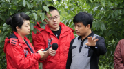 汤阴县:就业扶贫岗促进绿色通道，帮助就业脱贫